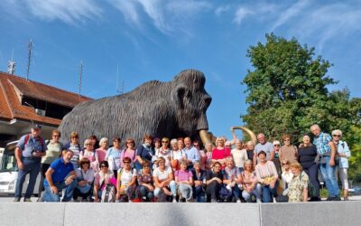 V Domžale in Kamnik