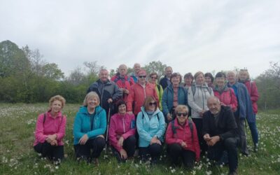 Krajši pohod med jurjevke na Krasu