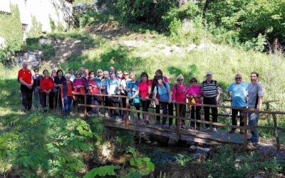 Krajši pohod: okolica Črnič