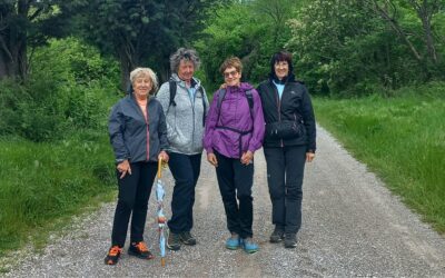 Krajši pohod po Lokarjevi poti do Grivč in nazaj