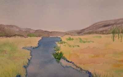 Prva samostojna razstava Vesne Černe