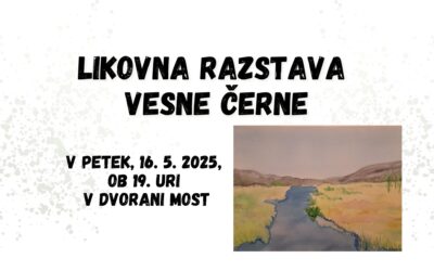 Samostojna likovna razstava: Vesna Černe