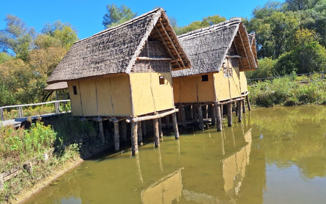 S krožkom Spoznavanje narave na obisk h koliščarjem