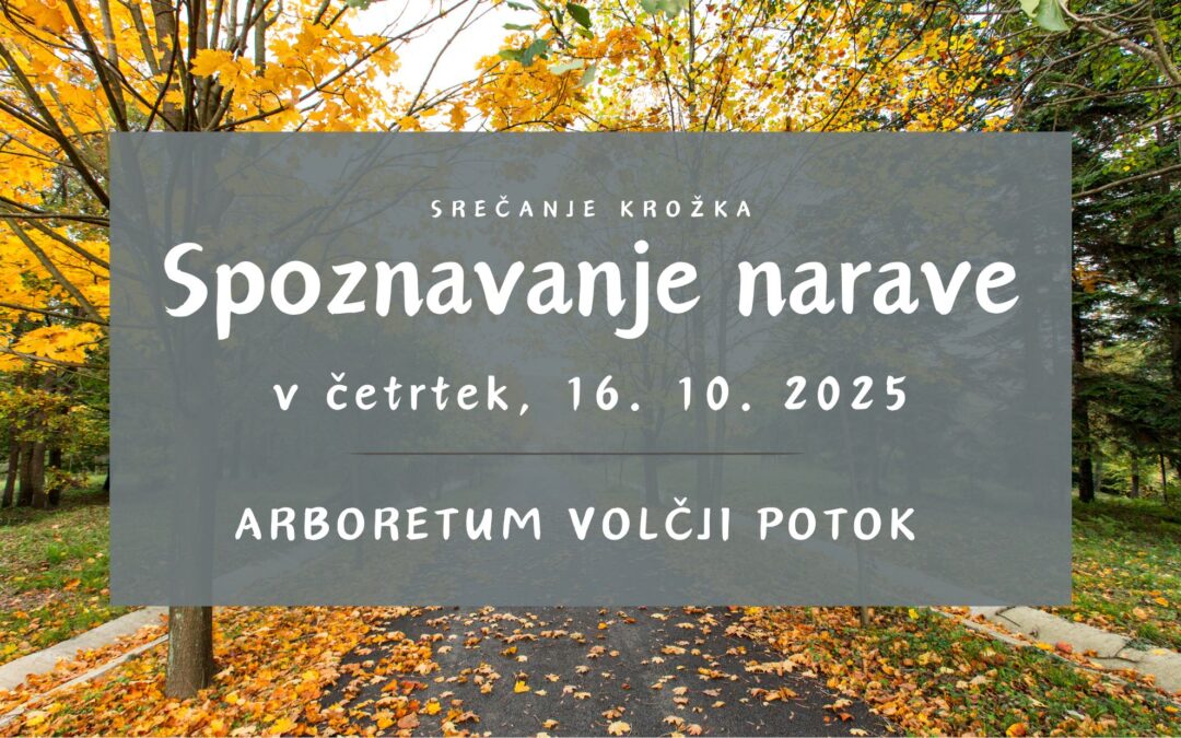 Spoznavanje narave v oktobru