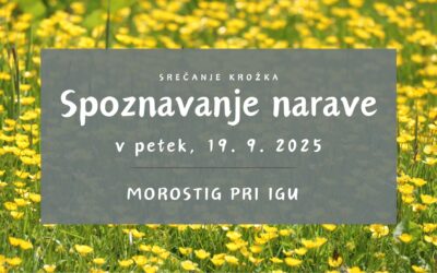 Spoznavanje narave v septembru
