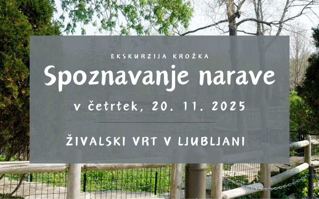Spoznavanje narave v novembru ODPOVEDANO