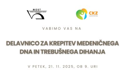 Delavnica Centra za krepitev zdravja