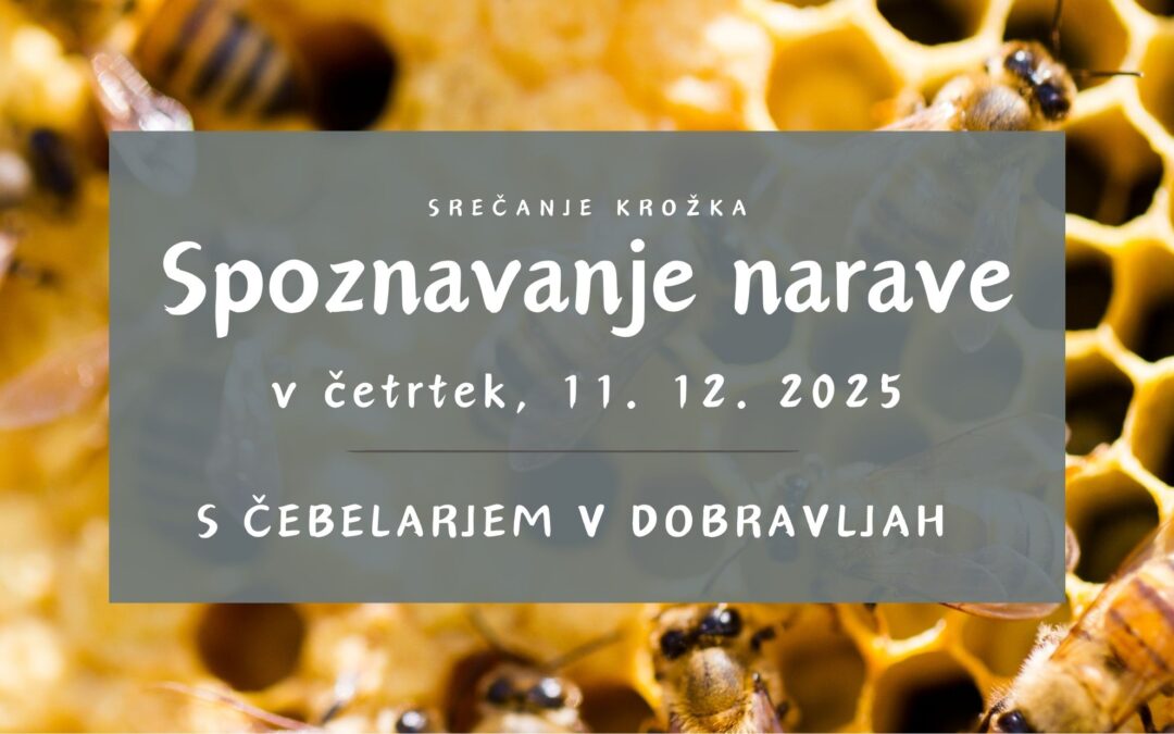 Spoznavanje narave v decembru