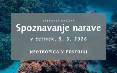 Spoznavanje narave v marcu