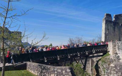 ‘Še danes grofje celjski in nikdar več’