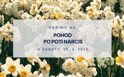 Pohod