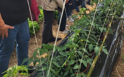 Obisk Biotehniškega šolskega centra v Šempetru pri Gorici