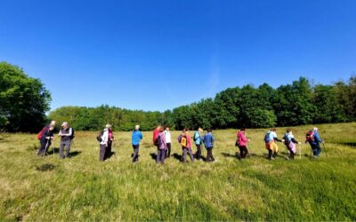 Na desetem krajšem pohodu
