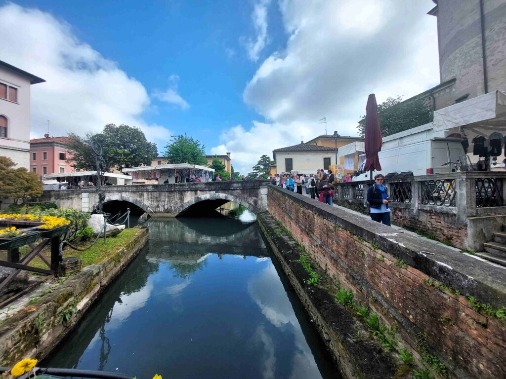 Mostovi in mostički čez reko in njene kanale